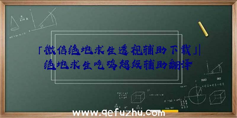 「微信绝地求生透视辅助下载」|绝地求生吃鸡超级辅助翻译